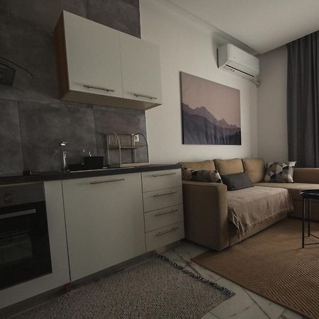 Luxury Apartment In The Center Of Ioannina City エクステリア 写真